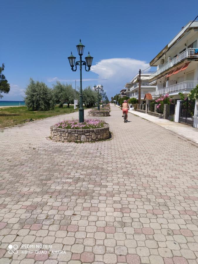 Hause Zorbas Apart otel Paralia Dionysiou Dış mekan fotoğraf