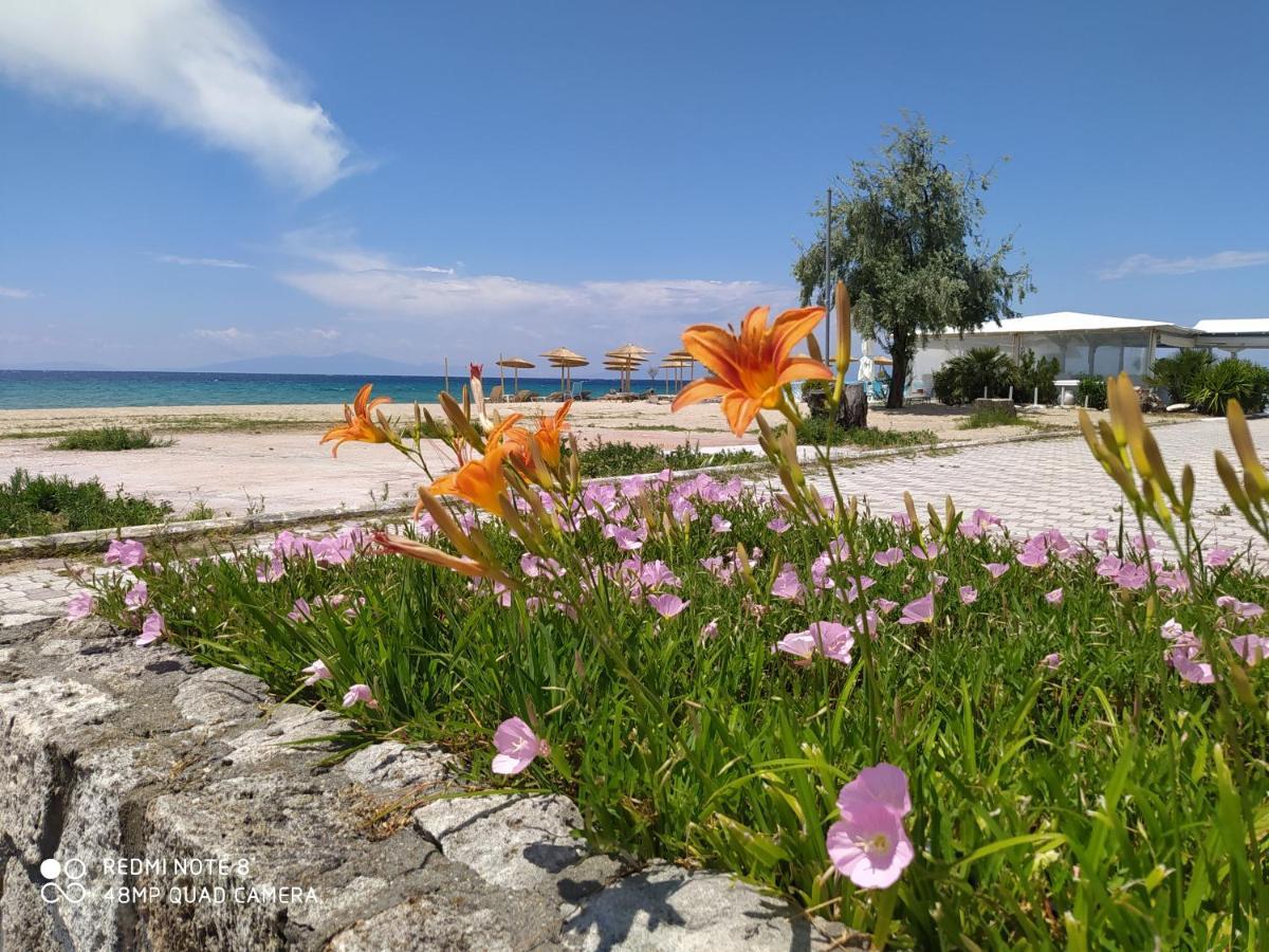 Hause Zorbas Apart otel Paralia Dionysiou Dış mekan fotoğraf