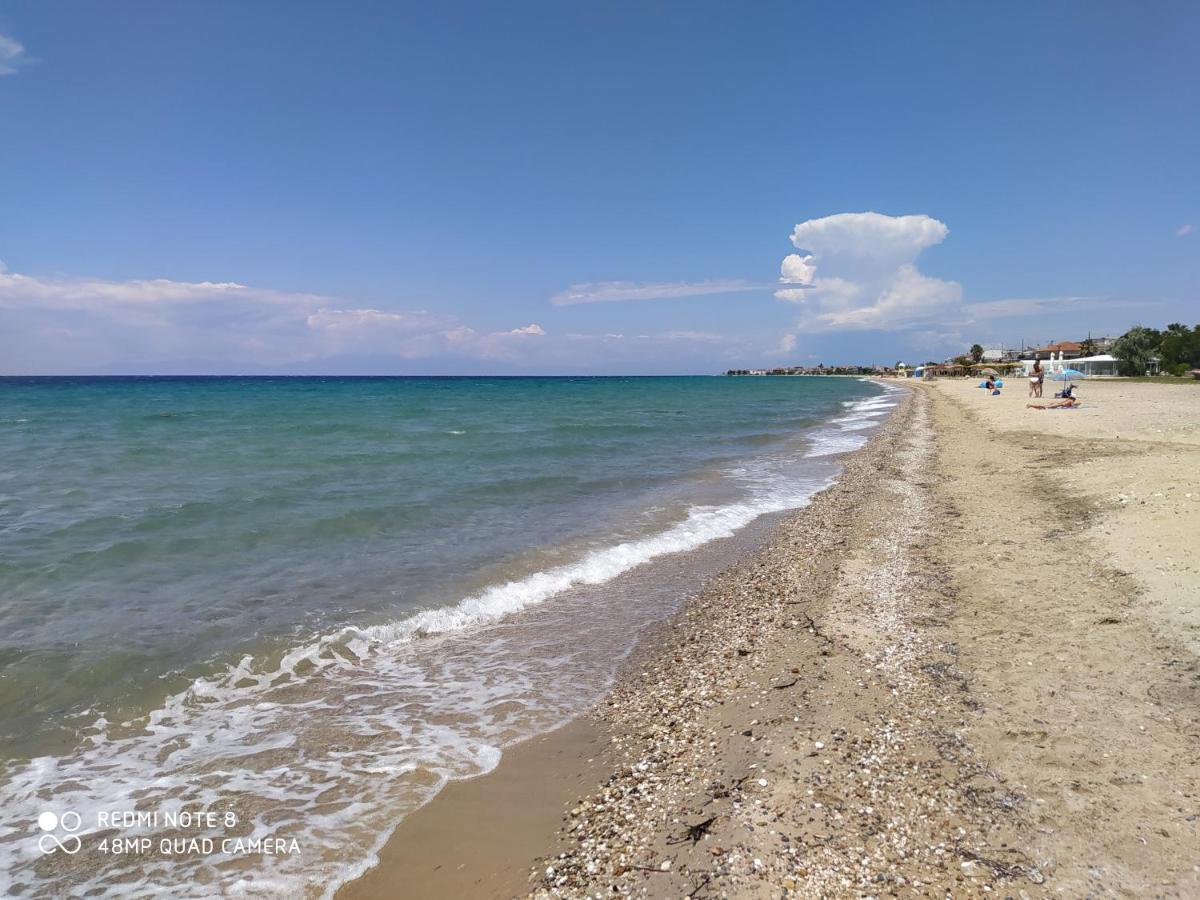 Hause Zorbas Apart otel Paralia Dionysiou Dış mekan fotoğraf