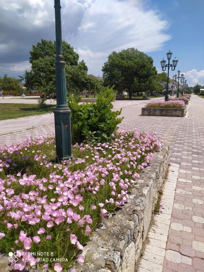 Hause Zorbas Apart otel Paralia Dionysiou Dış mekan fotoğraf